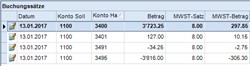 Bild der Buchungssätze