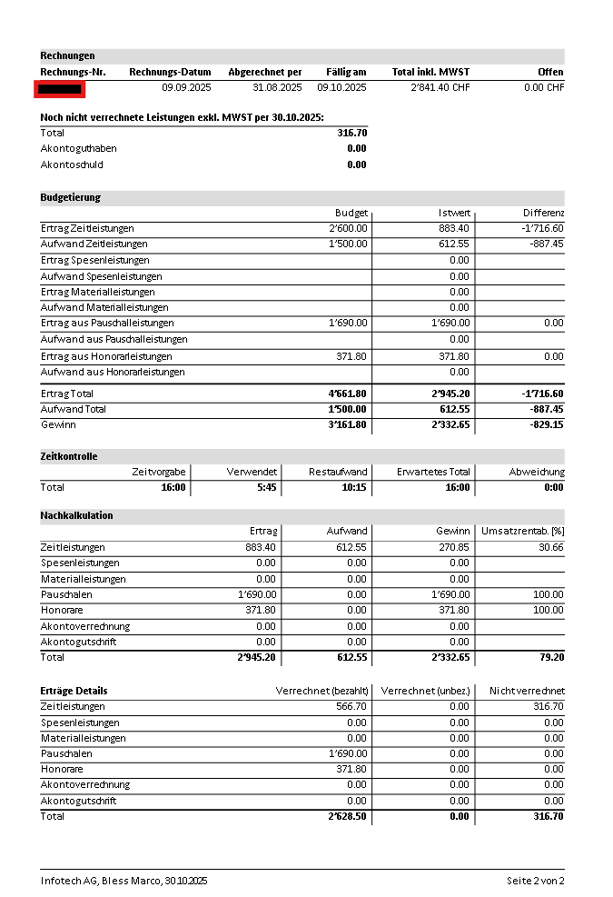 Screenshot Projektdaten-Bericht Seite 2